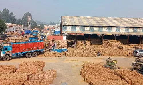 Haryana : अंबाला में कम आवक के बावजूद धान उठाव दर 82% तक पहुंची