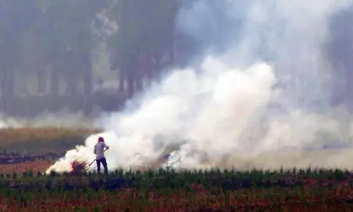 Punjab: खेतों में आग लगने की घटनाएं बढ़ीं, एक दिन में रिकॉर्ड 587 मामले सामने आए