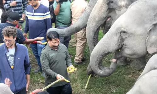 Assam :  कृषि मंत्री अतुल बोरा ने काजीरंगा राष्ट्रीय उद्यान और टाइगर रिजर्व में हाथी सफारी का उद्घाटन
