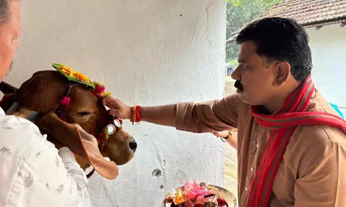 गृहमंत्री विजय शर्मा ने गौ माता को खिलाई खिचड़ी