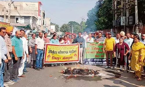 Punjab: प्रदर्शनकारी शिक्षकों ने सरकार का पुतला जलाया