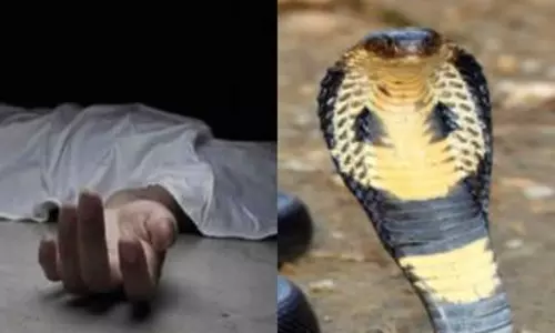 Baharagora: मछली पकड़ने के दौरान सांप के डसने से व्यक्ति की मौत Baharagora: मछली पकड़ने के दौरान सांप के डसने से व्यक्ति की मौत