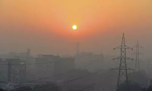 Jalandhar, कपूरथला में अब तक खेतों में आग लगने की घटनाओं की संख्या 255
