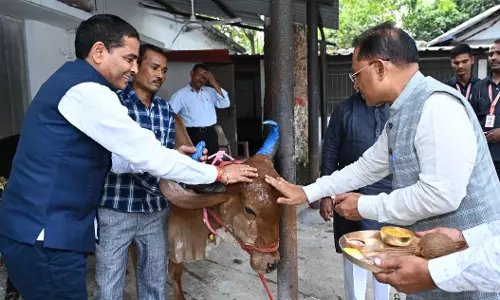 CM विष्णुदेव साय ने गोवर्धन पूजा के अवसर पर गौ वंश की पूजा-अर्चना की