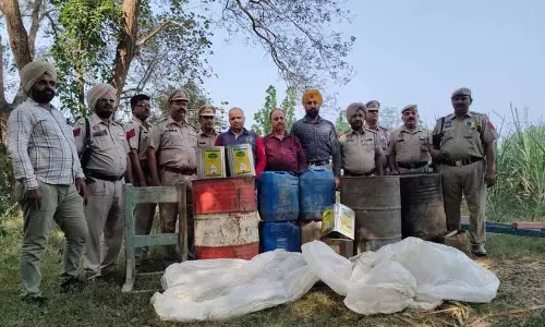 Beas River के किनारे के गांवों से 11,500 किलोग्राम लाहन जब्त