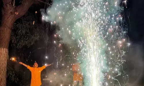 Diwali के अवसर पर उत्सव मनाया गया