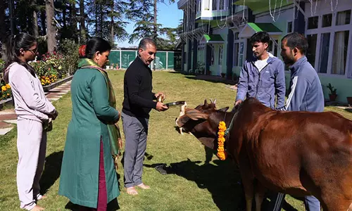 हिमाचल के CM सुखू ने अपने आवास पर की गोवर्धन पूजा, लोगों की शांति और समृद्धि की प्रार्थना की