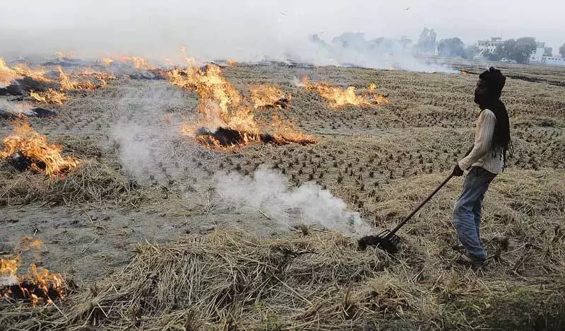 Sangrur गांव में किसानों ने अधिकारियों का किया घेराव Sangrur गांव में किसानों ने अधिकारियों का किया घेराव