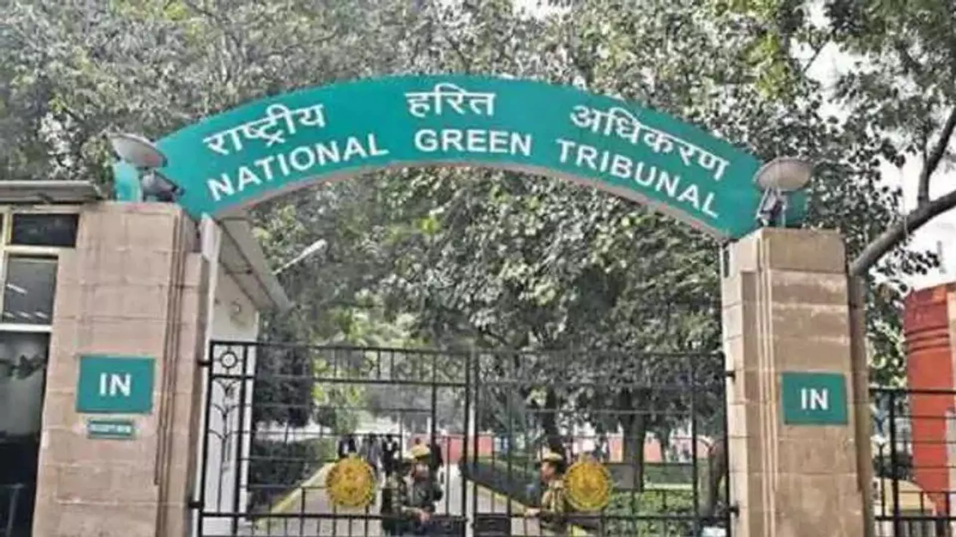 NGT ने UP में अफ्रीकी कैटफ़िश के अवैध प्रजनन और पालन के खिलाफ़ कार्रवाई का आदेश दिया