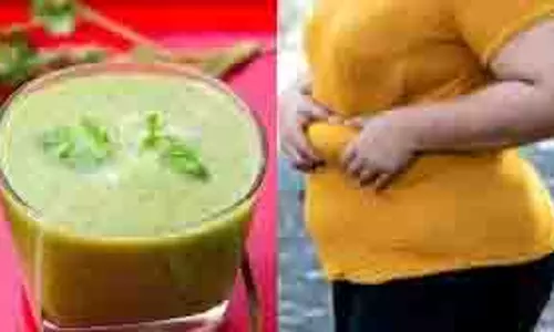 Health: रोज इस हरी सब्जी का 1 गिलास जूस पीकर आप 10 किलो वजन कम कर सकते हैं Health: रोज इस हरी सब्जी का 1 गिलास जूस पीकर आप 10 किलो वजन कम कर सकते हैं
