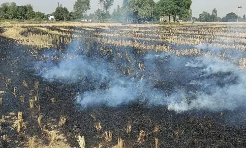 Haryana : प्रदूषण की समस्या बढ़ी जींद करनाल में खेतों में आग लगने की 19 नई घटनाएं