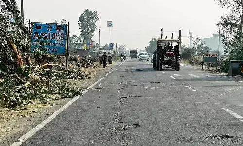 Sirhind-पटियाला सड़क को चौड़ा करने के लिए 1,000 से अधिक पेड़ काटे