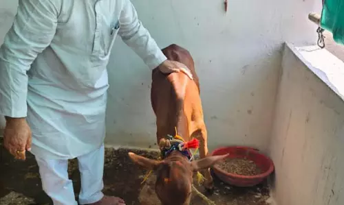 गौवंश के प्रति श्रद्धा, भक्ति और समर्पण का पर्व है गोवर्धन पूजा : बजाज गौवंश के प्रति श्रद्धा, भक्ति और समर्पण का पर्व है गोवर्धन पूजा : बजाज