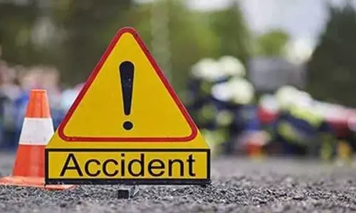 Punjab: आवारा पशु से टकराने से बाइक सवार की मौत, दोस्त घायल