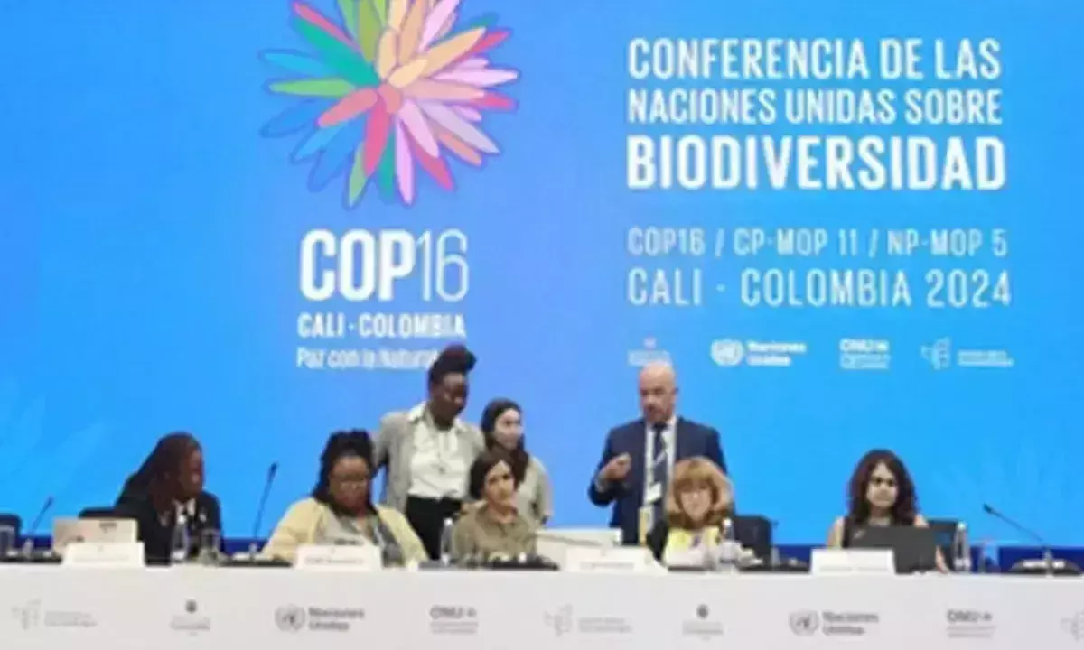 COP16 स्वदेशी, अफ्रीकी मूल के समुदायों की ऐतिहासिक मान्यता के साथ समाप्त हुआ