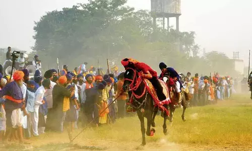 Nihang Sikhs ने मोहल्ला उत्सव में वीरता और परंपरा का जश्न मनाया