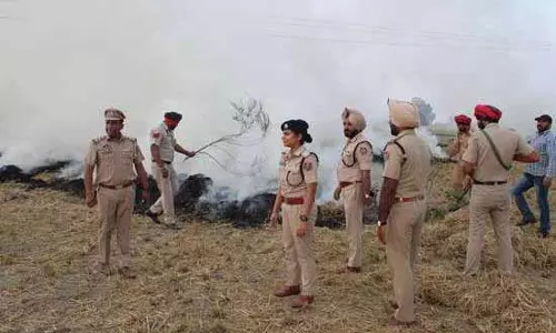 Ferozepur में पराली जलाने के मामलों में 60% की कमी आएगी