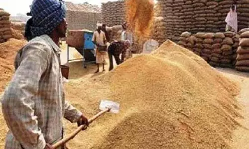 Jalandhar: किसानों को 1267 करोड़ रुपये का भुगतान किया गया