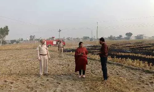 Ferozepur DC ने पराली जलाने पर प्रतिबंध लागू करने के लिए गश्त बढ़ा दी