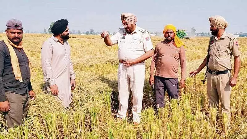 Punjab: खेतों में लगी आग पर काबू पाने के लिए कार्रवाई की