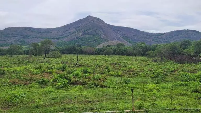 Palakkad में ₹ 30 करोड़ की क्रिकेट स्पोर्ट्स हब स्टेडियम परियोजना शुरू