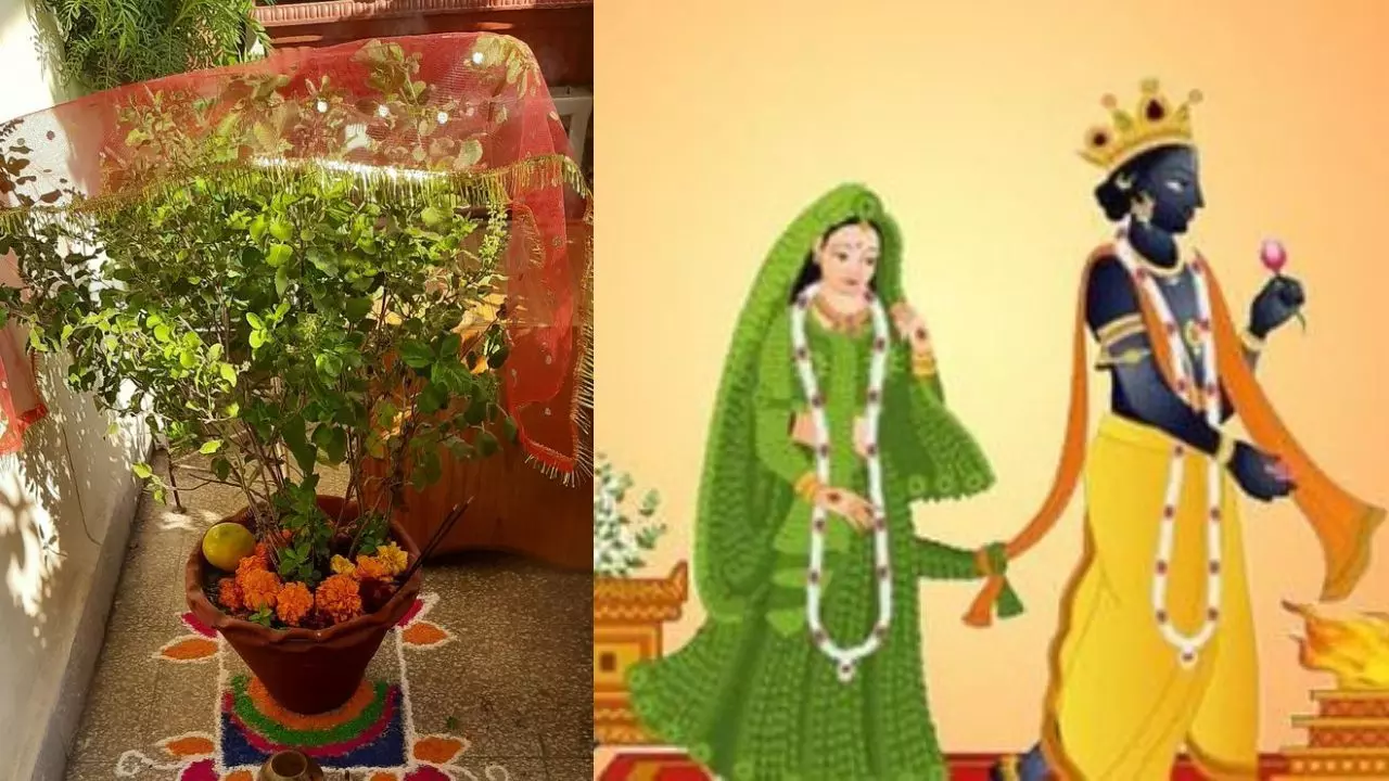 Tulsi vivah नोट करें दिन तारीख और पूजा का समय