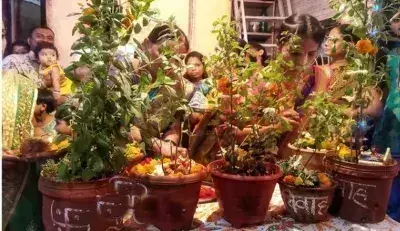 Tulsi Vivah 2024: पूजा के दौरान करें ये छोटा सा काम , सौभाग्य का मिलेगा वरदान