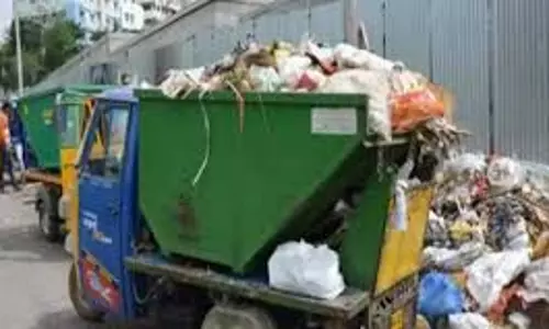 Meerut: डोर-टू-डोर कूड़ा कलेक्शन का काम शहर में ठप हुआ