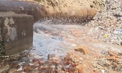 Noida: सेक्टर-3 में  देर रात पाइपलाइन फटने से हजारों लीटर पानी हुआ बर्बाद