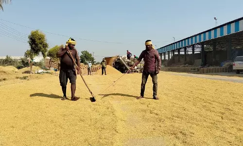 Haryana : धान उठान में सुधार, अंबाला मंडियों से 88.12% स्टॉक निकाला गया Haryana : धान उठान में सुधार, अंबाला मंडियों से 88.12% स्टॉक निकाला गया