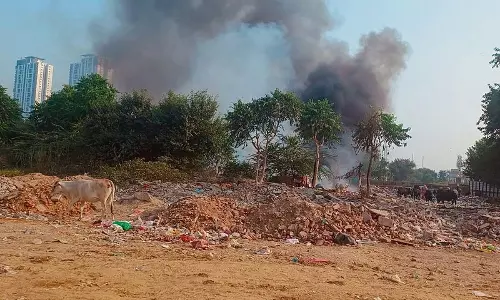 Haryana : डंपयार्ड में आग लग गई Haryana : डंपयार्ड में आग लग गई