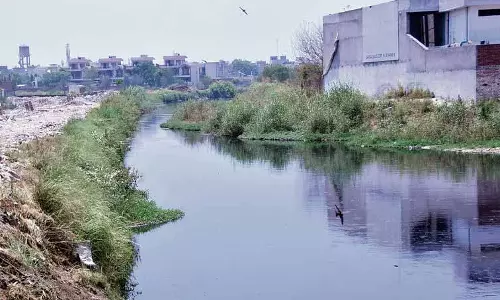 Punjab: जल निकायों को अधिसूचित करने की प्रक्रिया शुरू Punjab: जल निकायों को अधिसूचित करने की प्रक्रिया शुरू