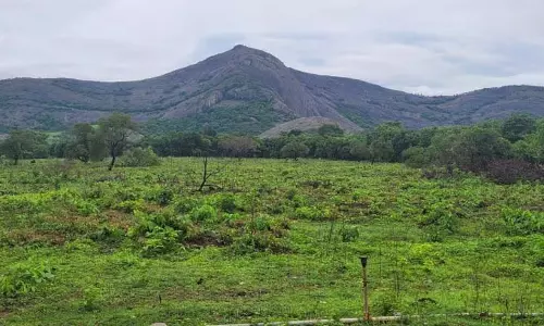 Palakkad में ₹ 30 करोड़ की क्रिकेट स्पोर्ट्स हब स्टेडियम परियोजना शुरू