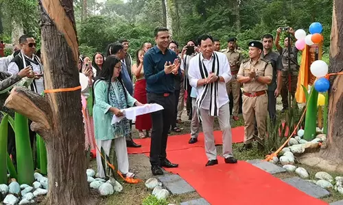 Arunachal : पक्के टाइगर रिजर्व को मिला तितली पार्क