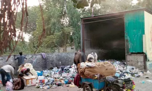 MC के बड़े-बड़े दावों के बावजूद होशियारपुर में जगह-जगह कूड़े के ढेर