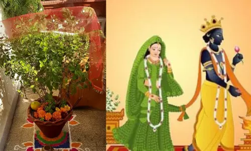 Tulsi vivah नोट करें दिन तारीख और पूजा का समय