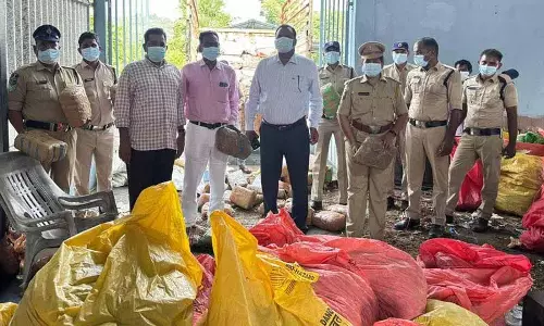 Kothagudem: 1186 किलो जब्त गांजा जलाया गया