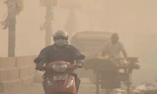 Haryana में 24 घंटे में खेतों में आग लगने का कोई मामला दर्ज नहीं