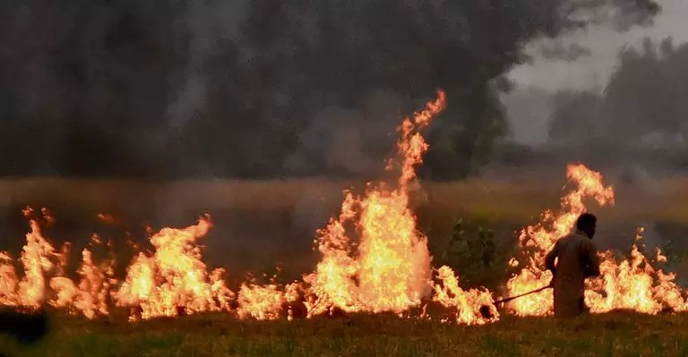 Haryana : अक्टूबर के आखिरी 10 दिनों में खेतों में आग लगने की घटनाओं में हुई