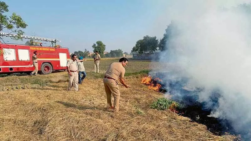 Punjab: खेतों की घटनाओं को रोकने के लिए राज्य की 1,200 करोड़ रुपये की मांग ठुकराई