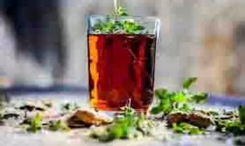 Health:   खाली पेट तुलसी का पानी पीने से मिलते हैं कमाल के फायदे