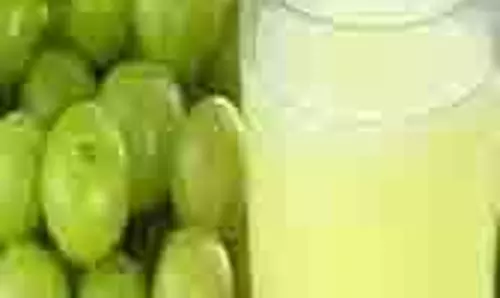 Amla Juice Benefits: खाली पेट आंवले का जूस पीने के हैं कई फायदें