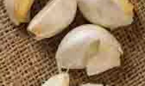 Health: यूरिक एसिड के मरीजों को सुबह खाली पेट खानी चाहिए ये सफेद चीज