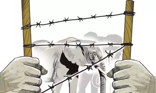 Tamil: किसानों ने हाथियों के आतंक से निपटने की आवश्यकता पर जोर दिया