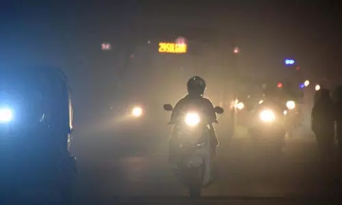 एनजीटी ने पटाखा प्रतिबंध पर राज्य से रिपोर्ट मांगी