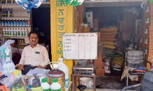 अमृतसर जिले में 56 सहकारी समितियां बंद, DAP संकट गहराया