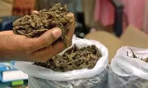 Chanchalguda और उसके आसपास के इलाकों में गांजा के नशेड़ियों का आतंक