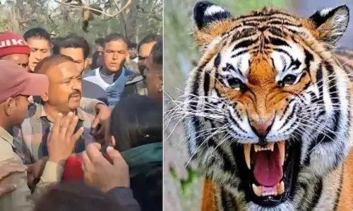 Ramnagar: बाघ ने महिला को उतारा मौत के घाट, जंगल में मिला शव Ramnagar: बाघ ने महिला को उतारा मौत के घाट, जंगल में मिला शव