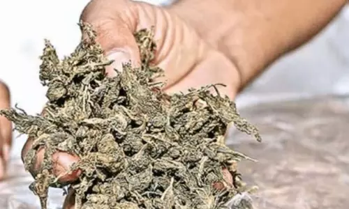Colva पुलिस ने ओडिशा के युवक पर गांजा रखने का मामला दर्ज किया