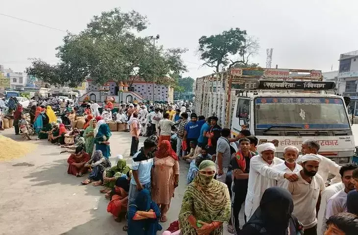 Hisar: कई जिलों में डीएपी की कमी से किसान हुए परेशान